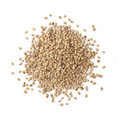 Hemp Heart